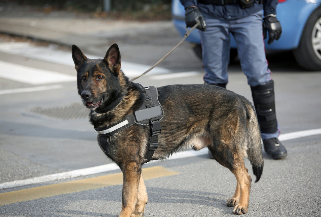 Event Security